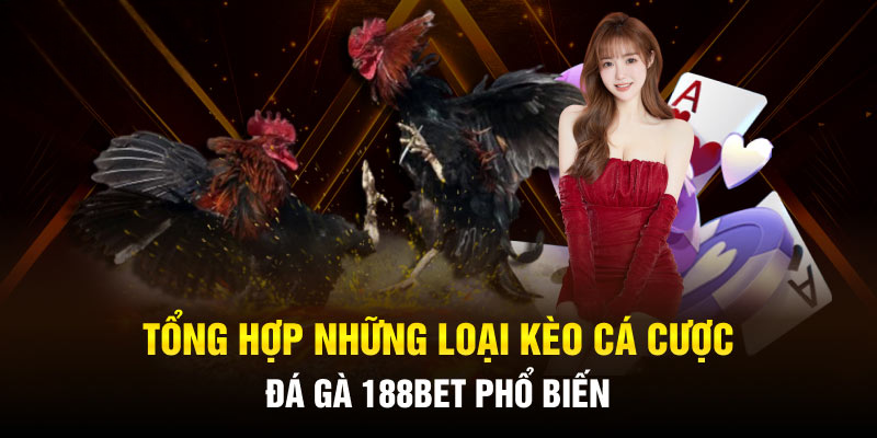 Đá Gà 188BET – Trận Đấu Nảy Lửa, Cược Thú Vị